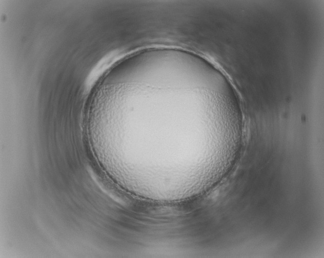 X0000052550151200507291924