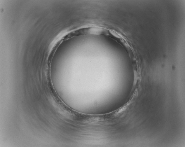 X0000052550152200507291924