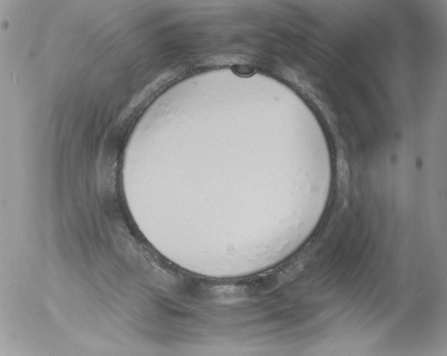 X0000052550153200507291924