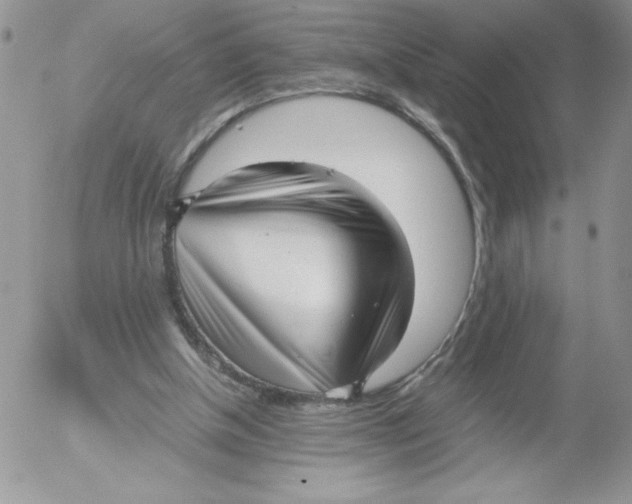 X0000052550154200507291924