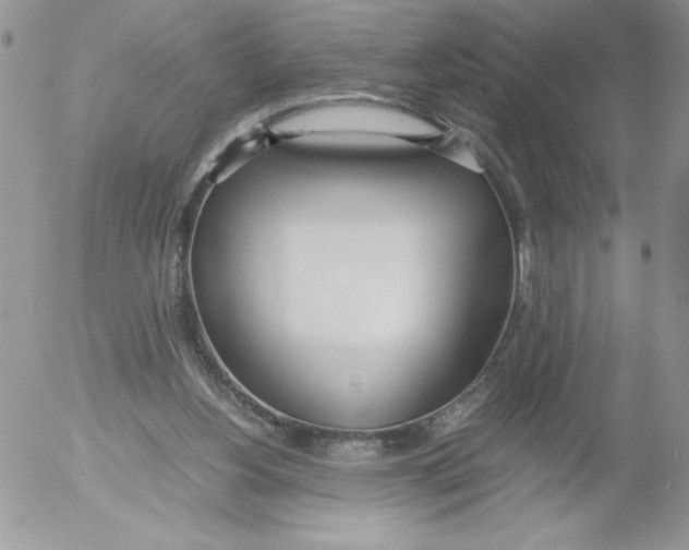 X0000052550156200507291924