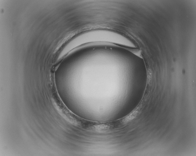 X0000052550158200507291924