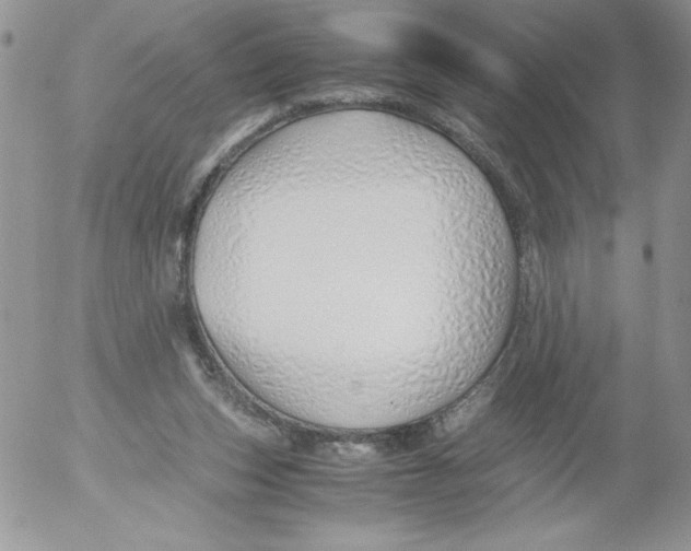 X0000052550159200507291924