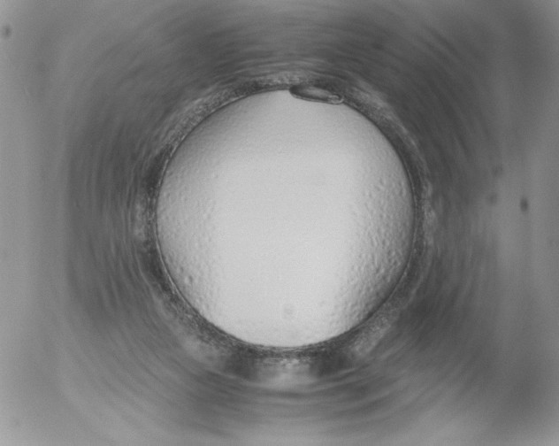 X0000052550161200507291924