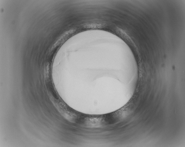 X0000052550163200507291925