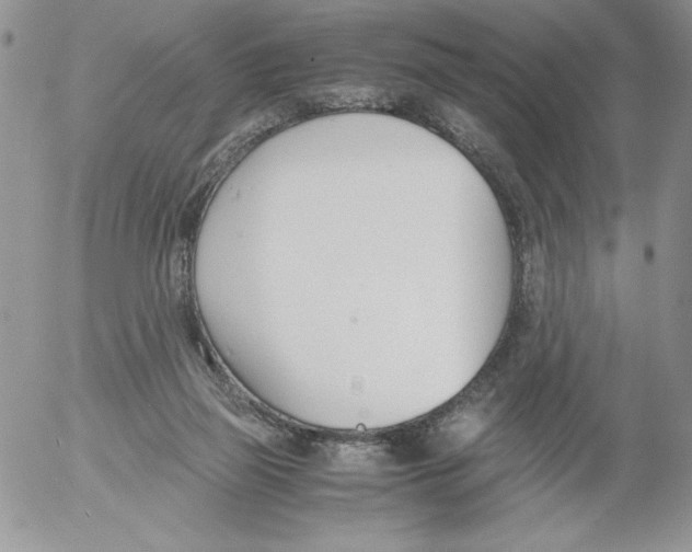 X0000052550165200507291925