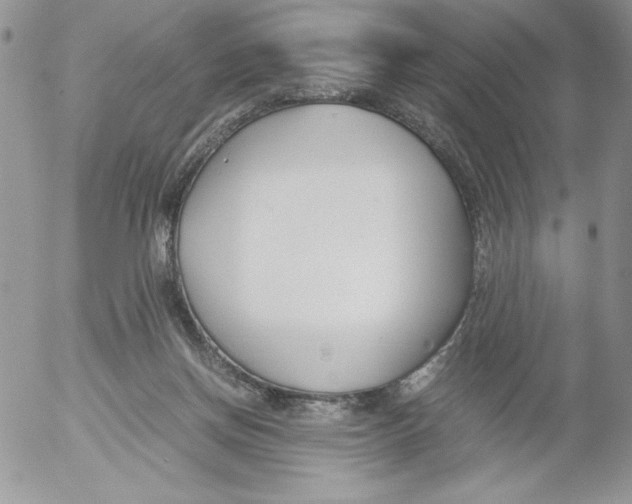 X0000052550166200507291925