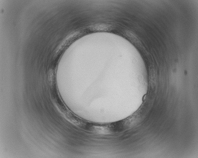 X0000052550167200507291925