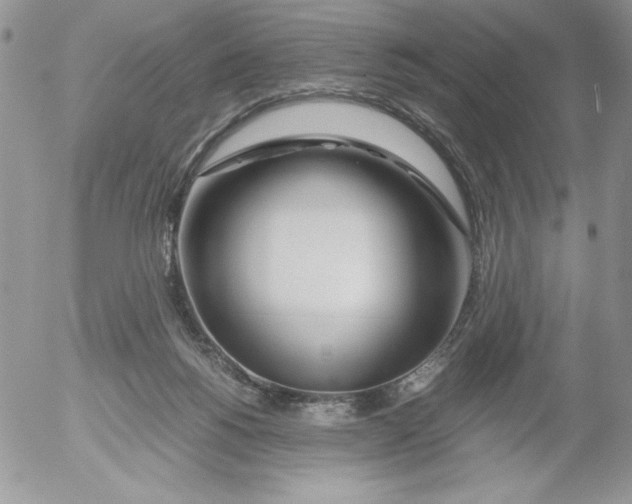 X0000052550168200507291925