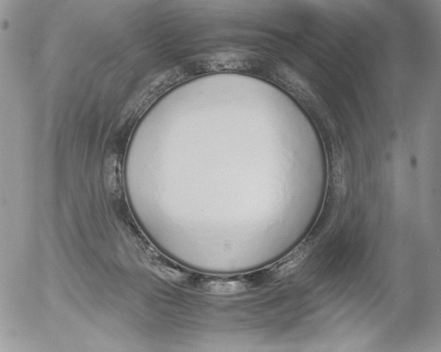 X0000052550169200507291925