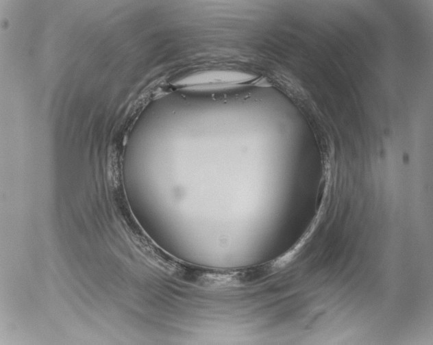 X0000052550170200507291925