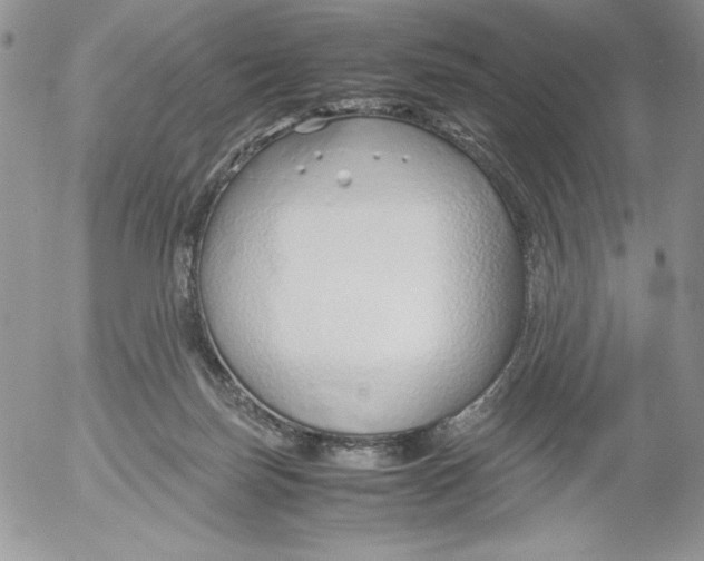 X0000052550171200507291925