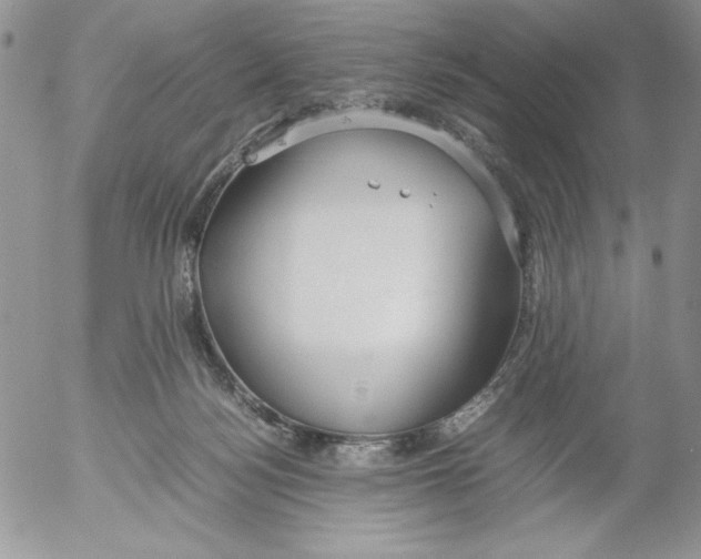 X0000052550172200507291925