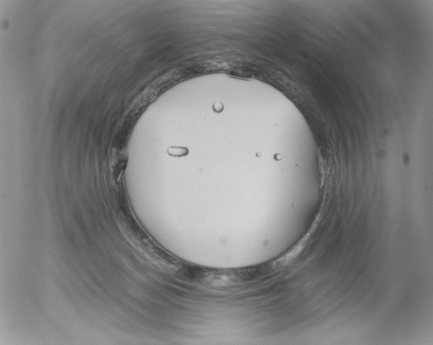 X0000052550174200507291925