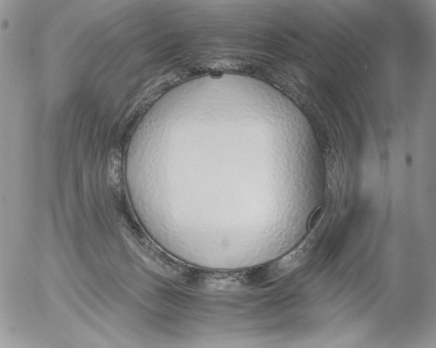 X0000052550175200507291925