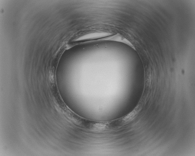 X0000052550176200507291925