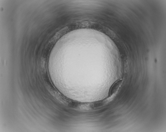 X0000052550178200507291925