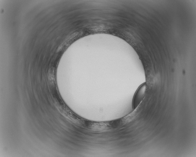 X0000052550179200507291925