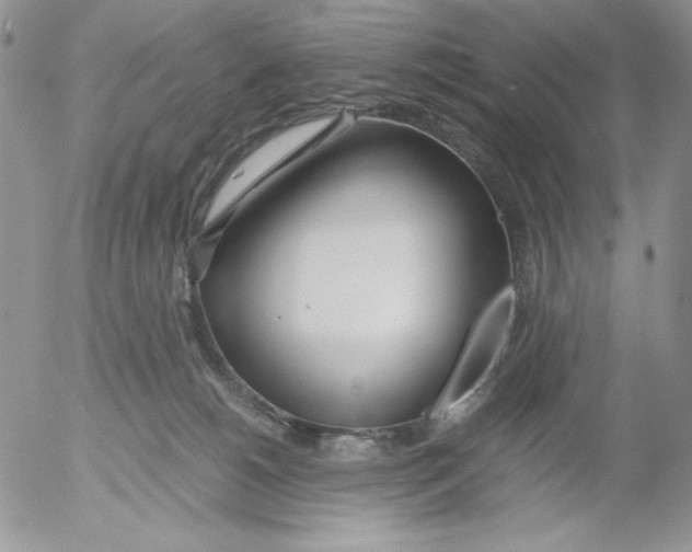 X0000052550180200507291925