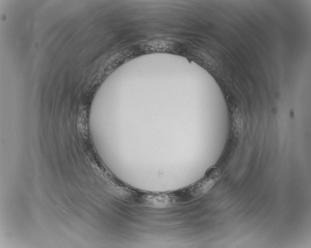 X0000052550181200507291925