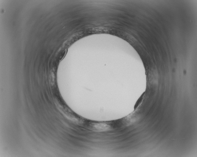 X0000052550183200507291925