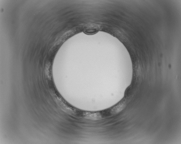 X0000052550185200507291925