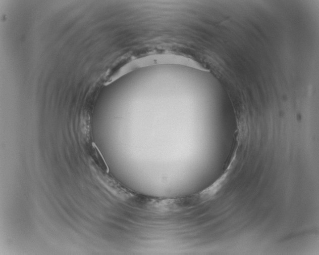 X0000052550186200507291925