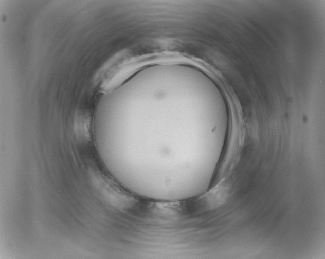 X0000052550188200507291925