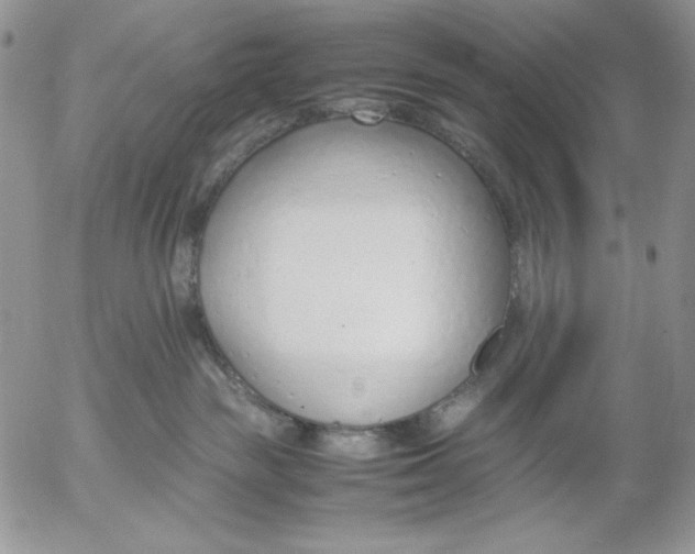 X0000052550189200507291925