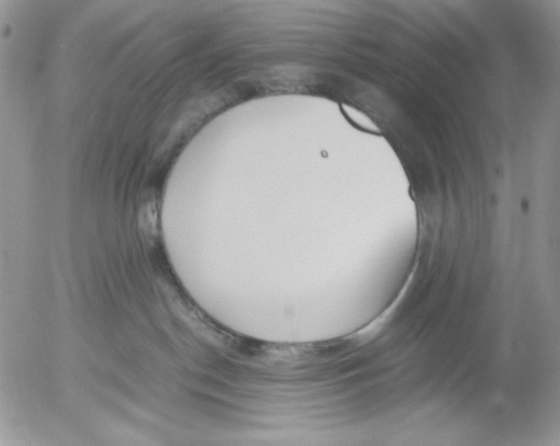 X0000052550190200507291925