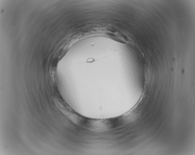 X0000052550191200507291925