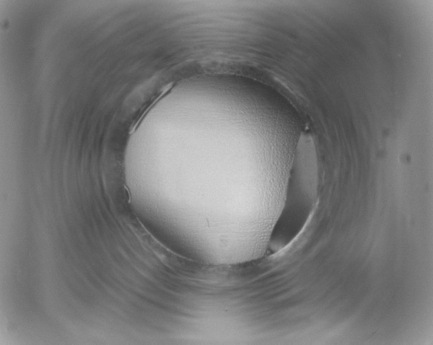 X0000052550192200507291925