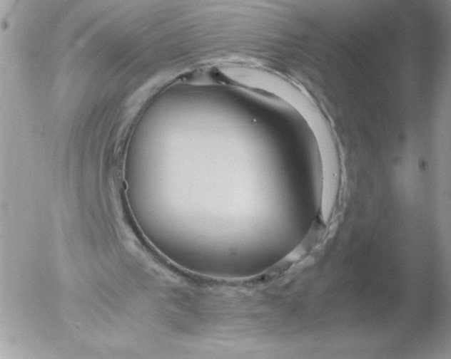 X0000052550193200507291924