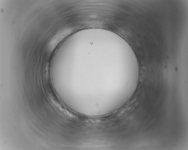 X0000052550194200507291924