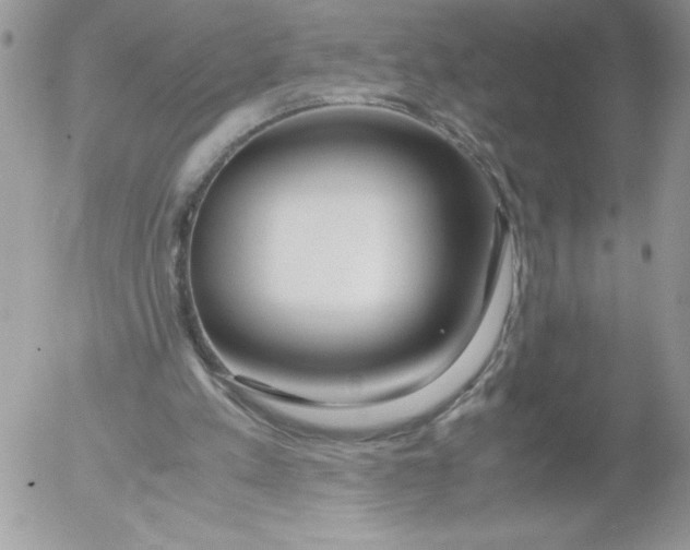 X0000052550197200507291924