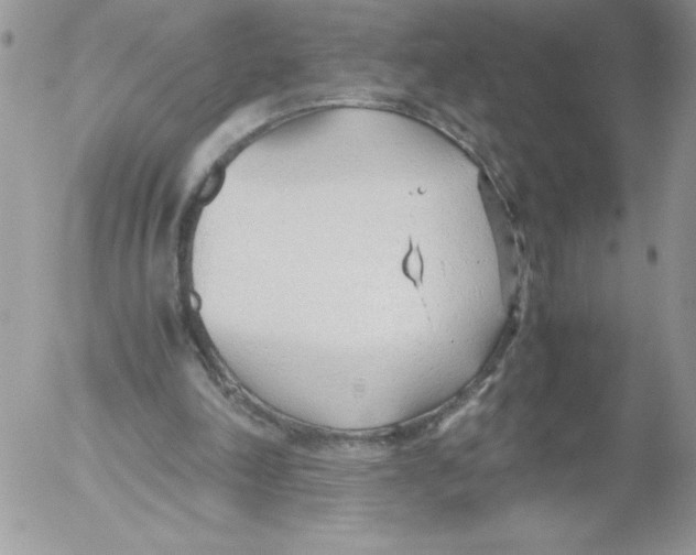 X0000052550198200507291924