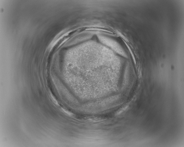 X0000052550199200507291924