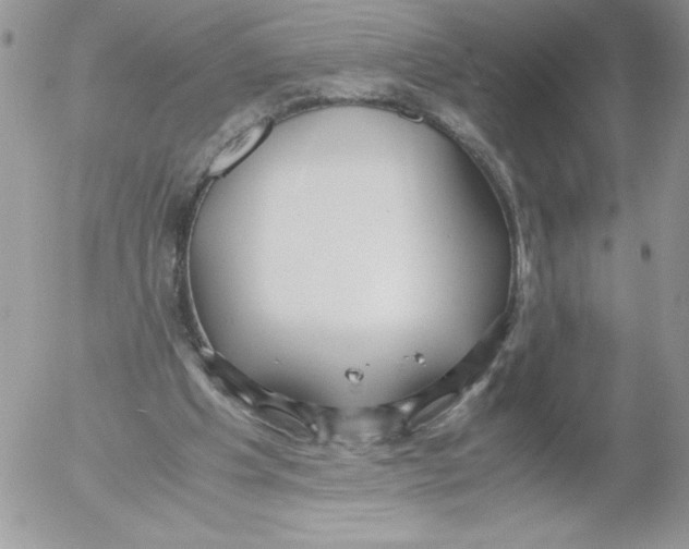 X0000052550201200507291924