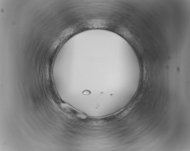 X0000052550202200507291924