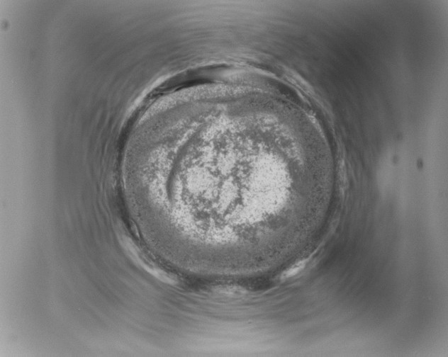 X0000052550203200507291924