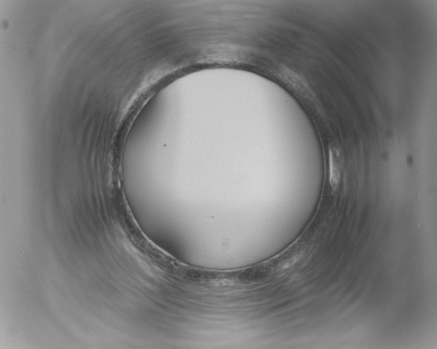 X0000052550204200507291924