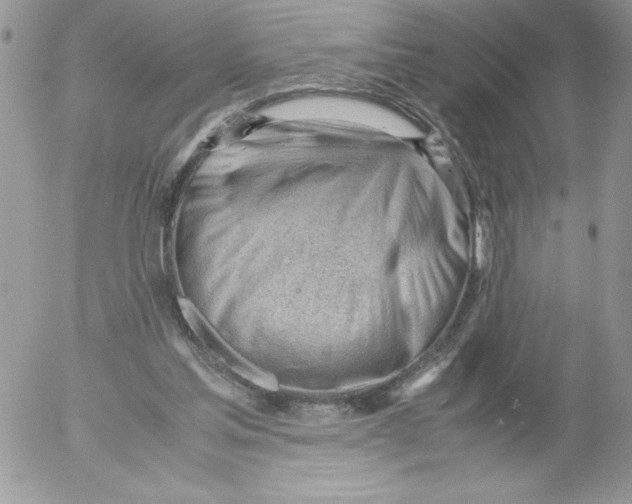 X0000052550205200507291924