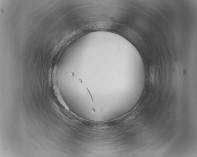 X0000052550206200507291924