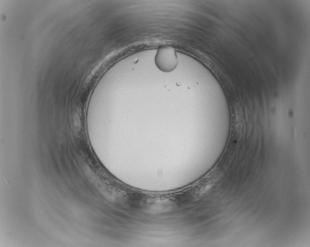 X0000052550208200507291924