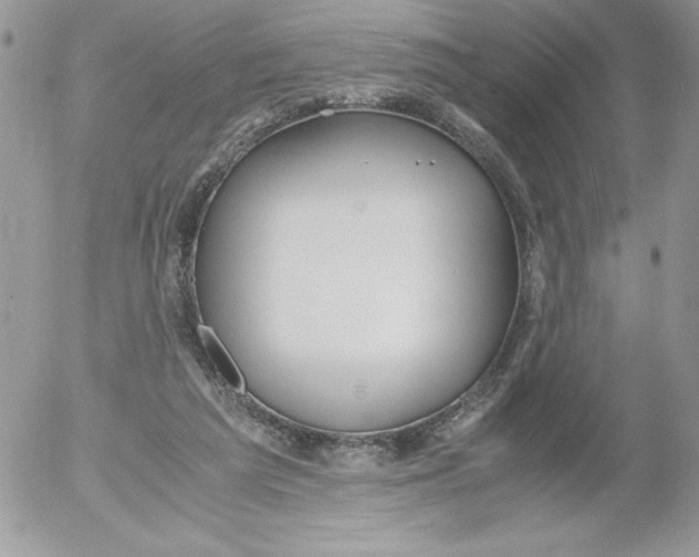 X0000052550209200507291924