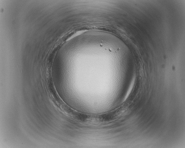 X0000052550211200507291924