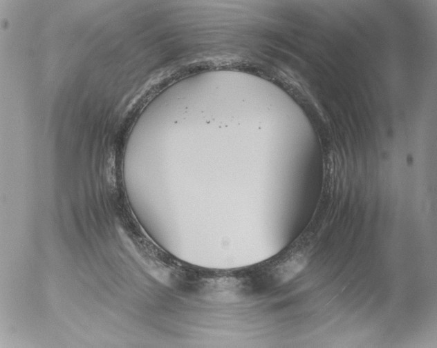 X0000052550212200507291924