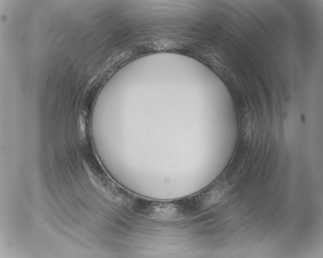 X0000052550214200507291924