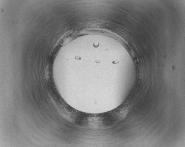 X0000052550216200507291924