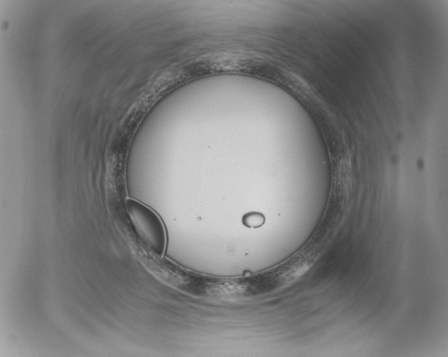 X0000052550217200507291924